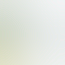 Logo des Unternehmens